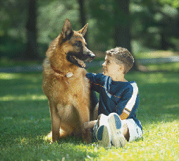 petstop001002.gif